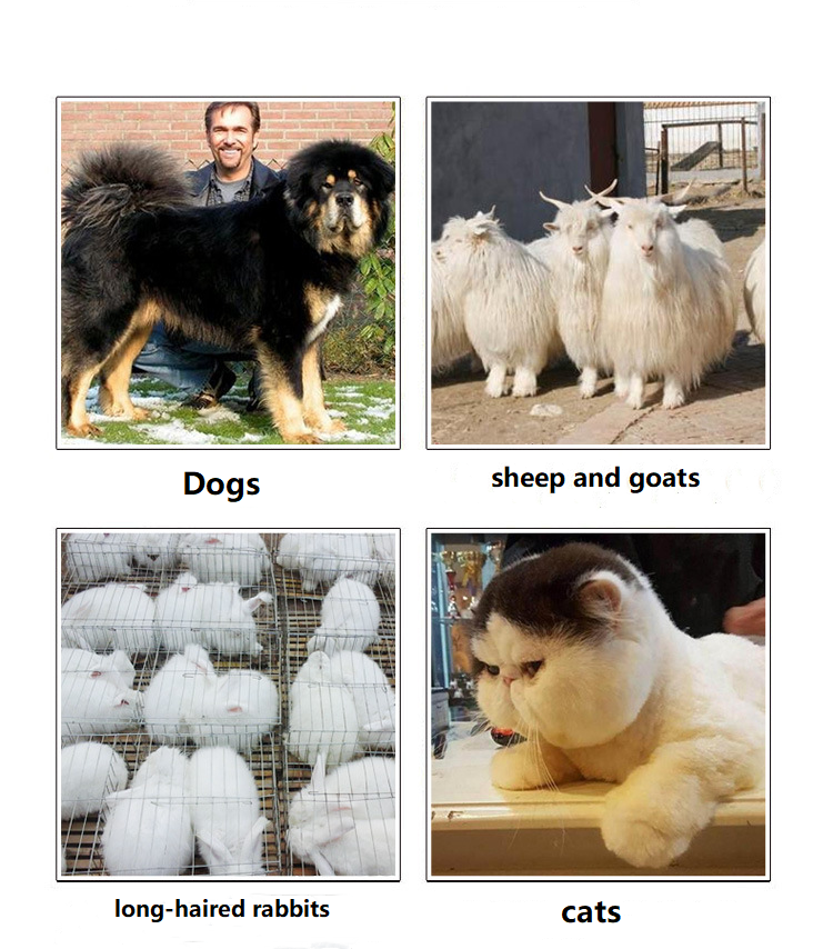 A83 Akumulátorový střihací stroj na domácí mazlíčky