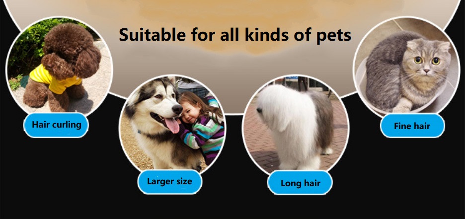 C75 Akumulátorový stroj na stříhání zvířat