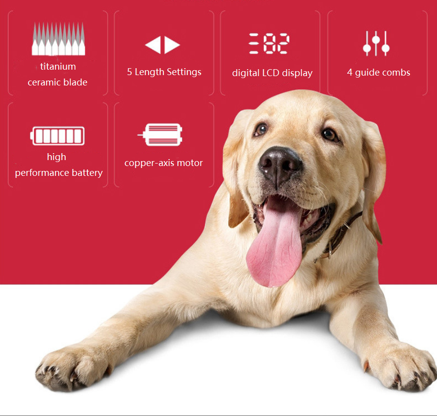 C79 Akumulátorový stroj na stříhání zvířat